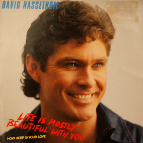 Vinyl / David Hasselhoff - Life Is Mostly Beautiful With You