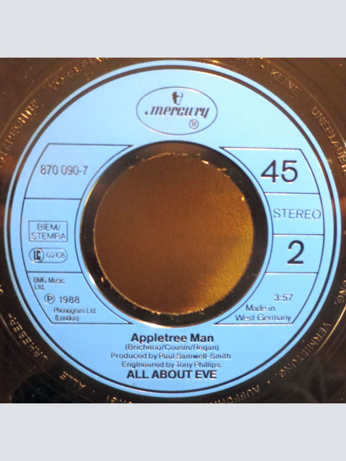 Vinyl / All About Eve - Wild Hearted Woman