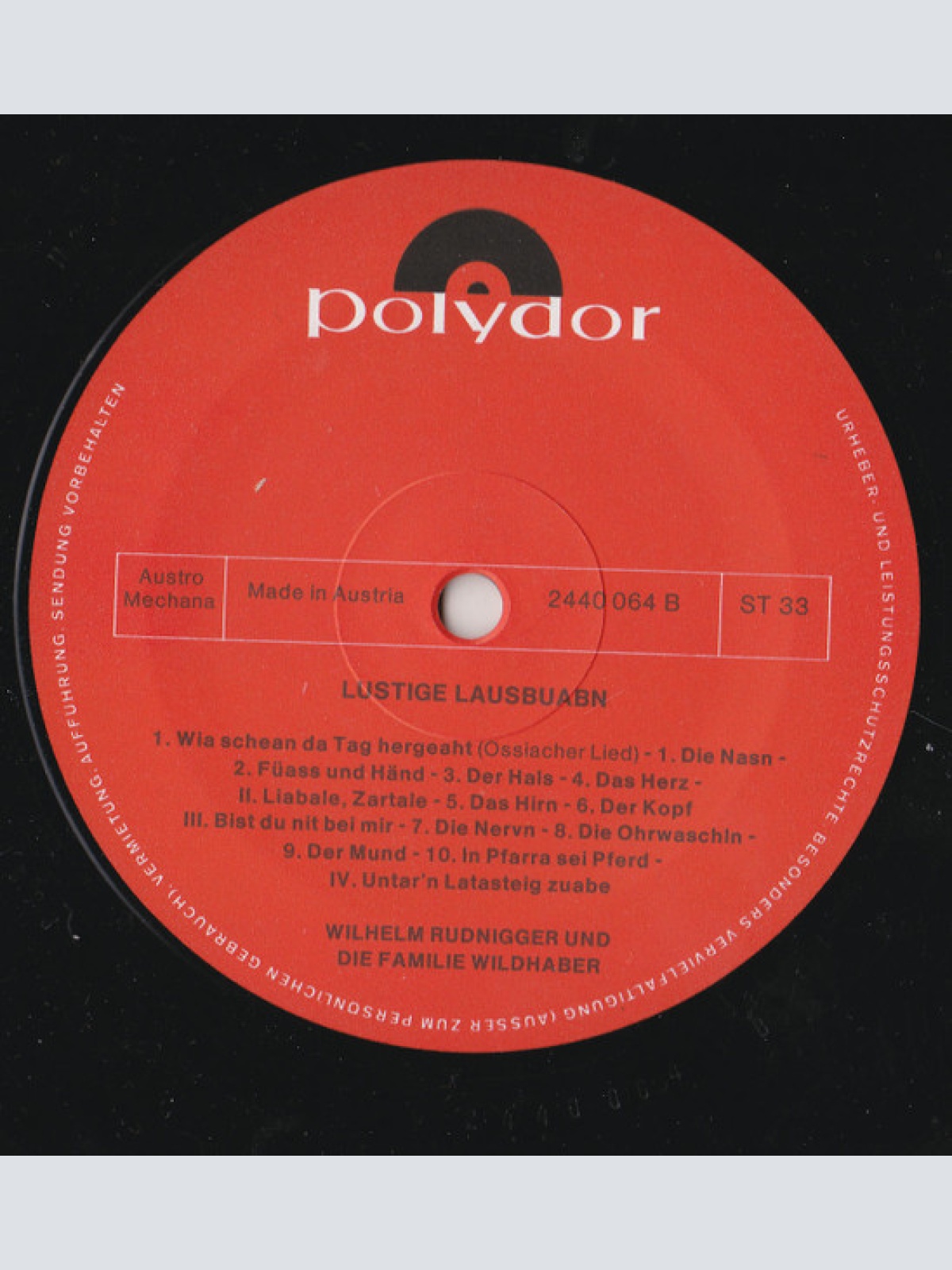 Vinyl / Wilhelm Rudnigger Und Fam. Wildhaber* - Lustige Lausbuabn