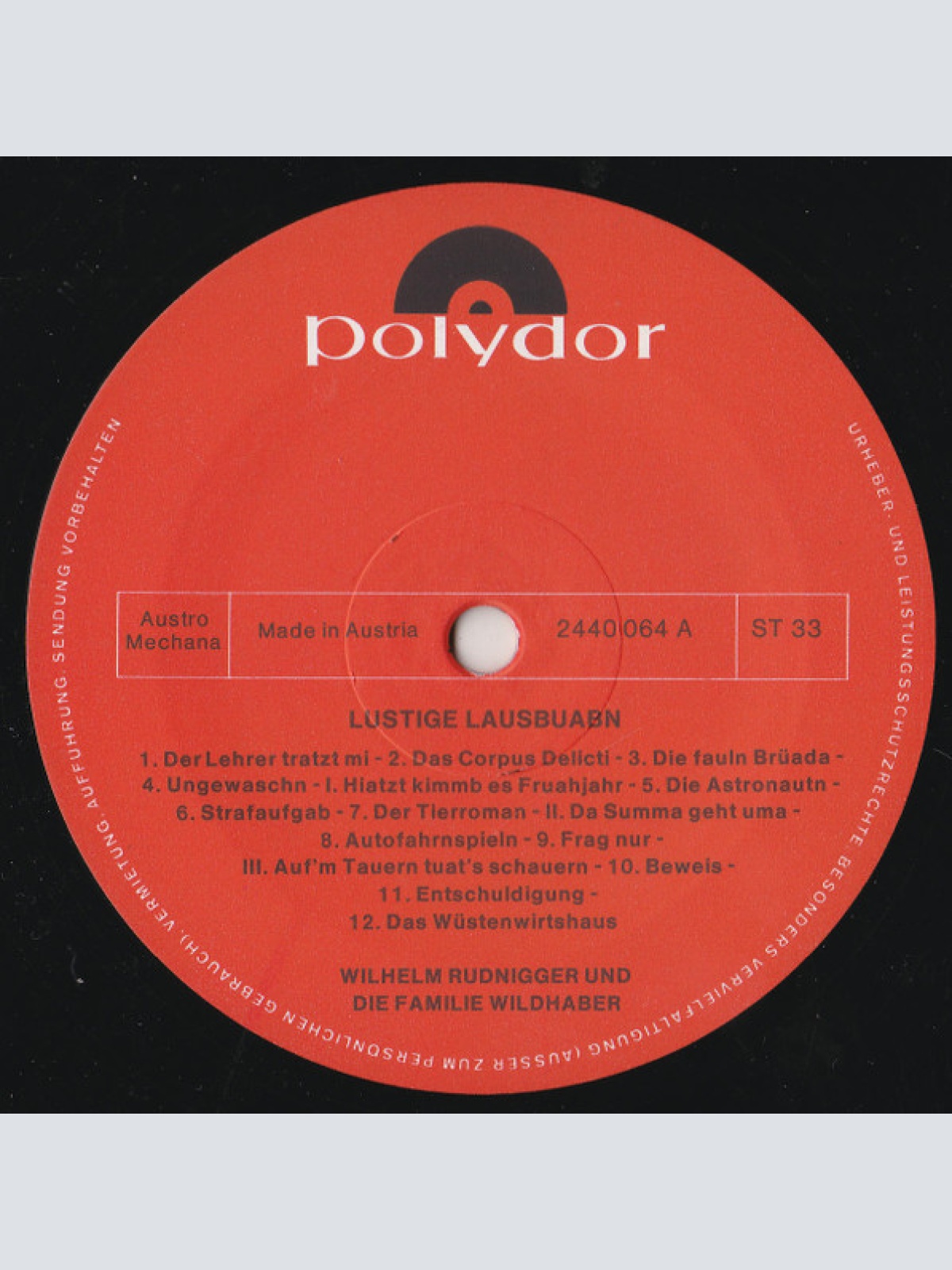 Vinyl / Wilhelm Rudnigger Und Fam. Wildhaber* - Lustige Lausbuabn