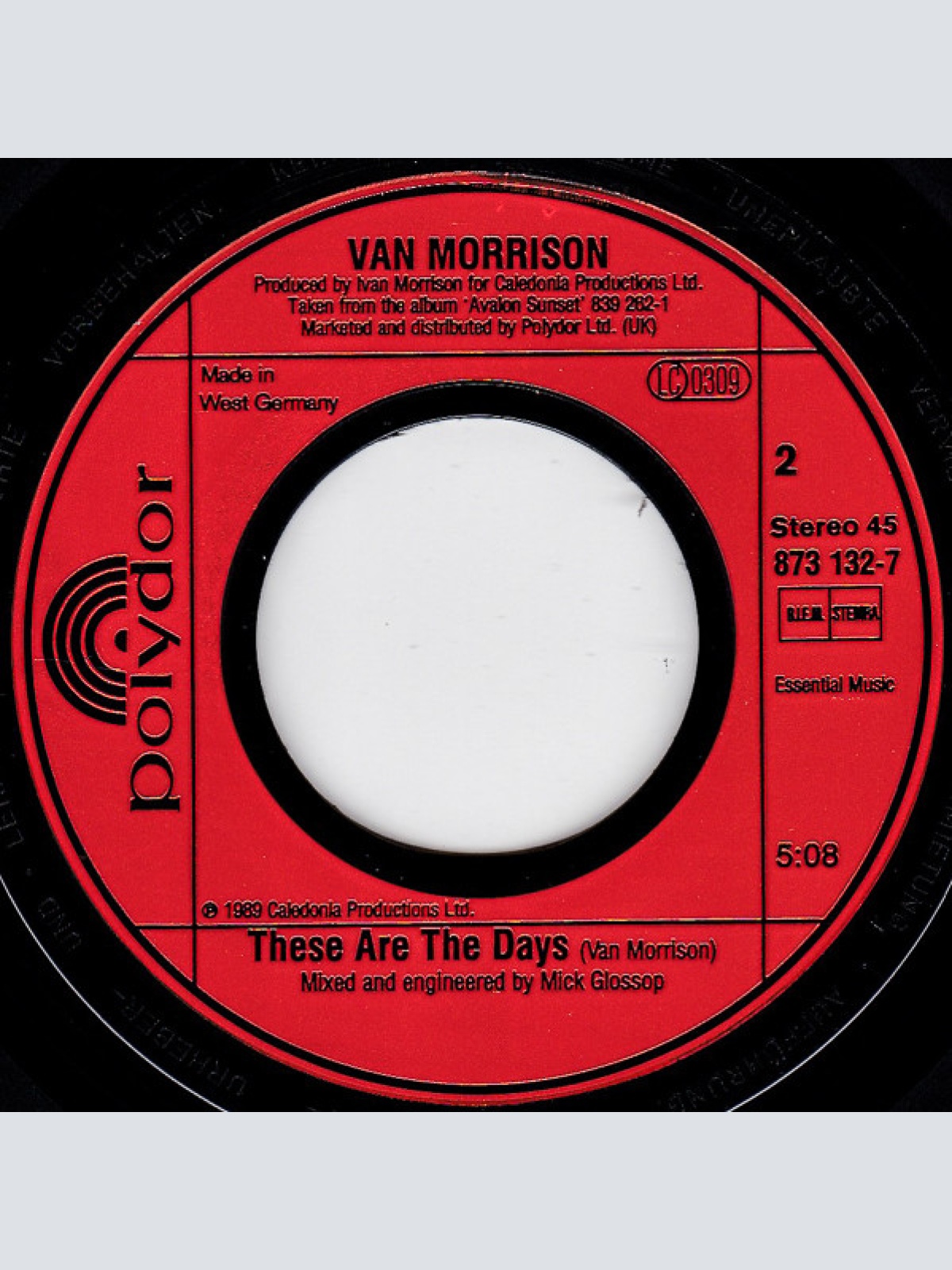 Vinyl / Van Morrison - Orangefield