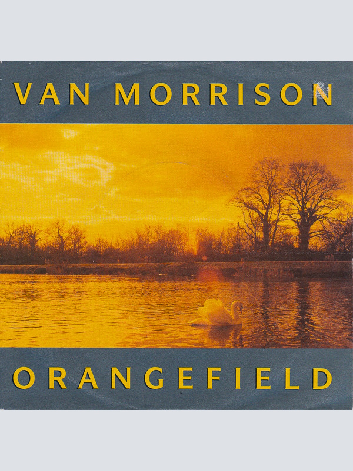 Vinyl / Van Morrison - Orangefield