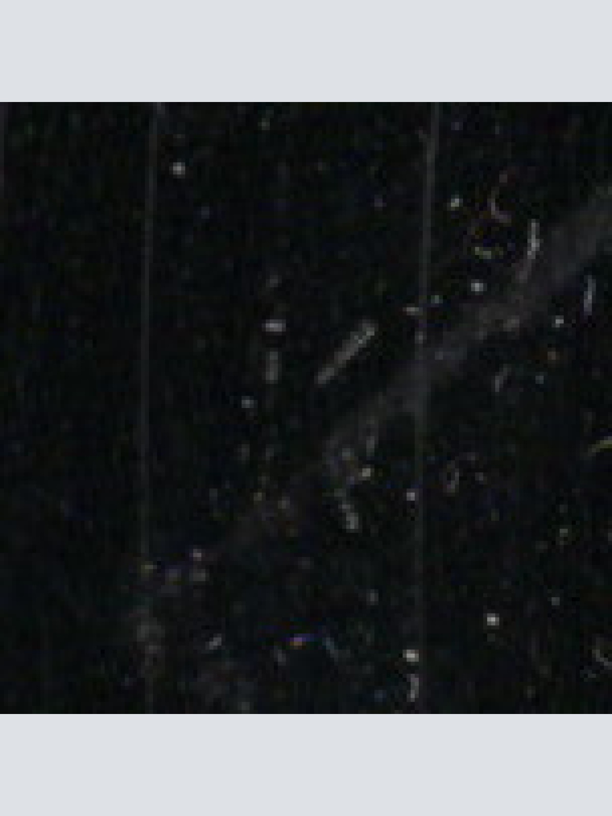 Vinyl / Genesis - Mama