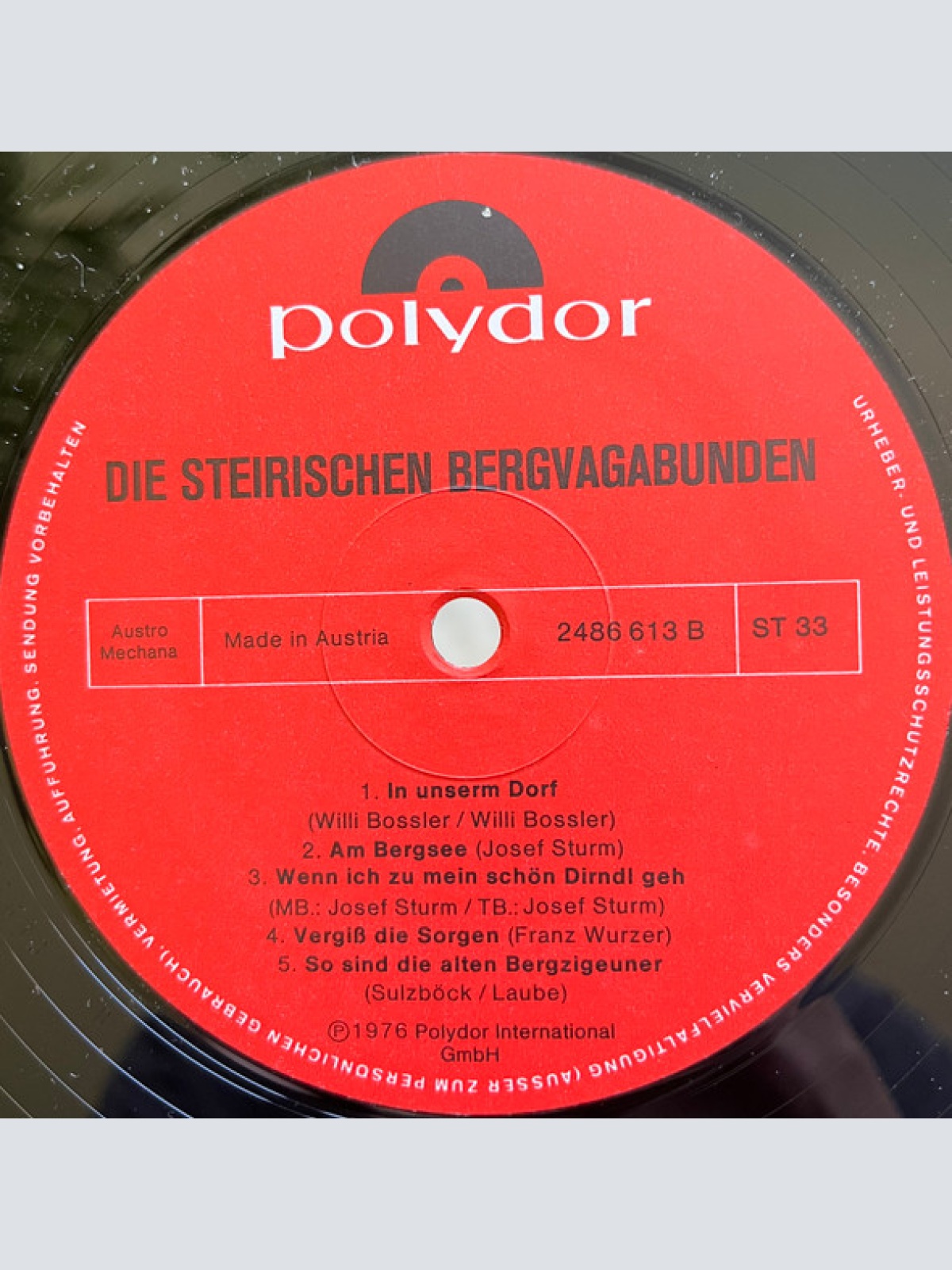 Vinyl / Die Steirischen Bergvagabunden - Die Steirischen Bergvagabunden