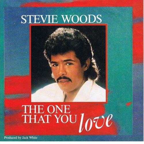 Vinyl / Stevie Woods - The One That You Love