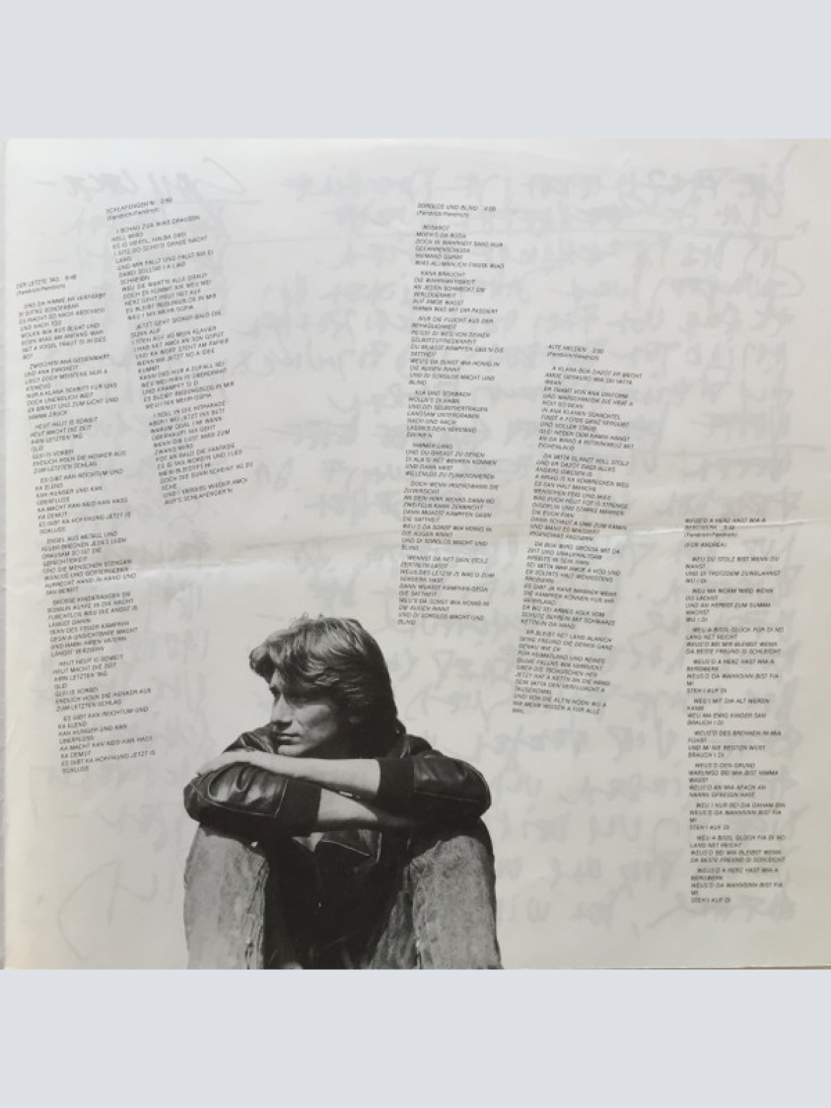 Vinyl / Rainhard Fendrich - Auf Und Davon.