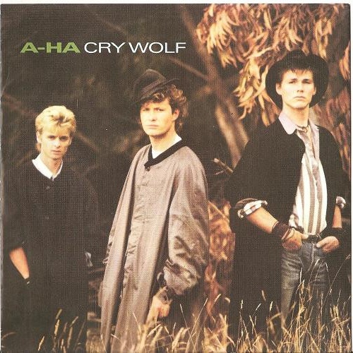Vinyl / a-ha - Cry Wolf