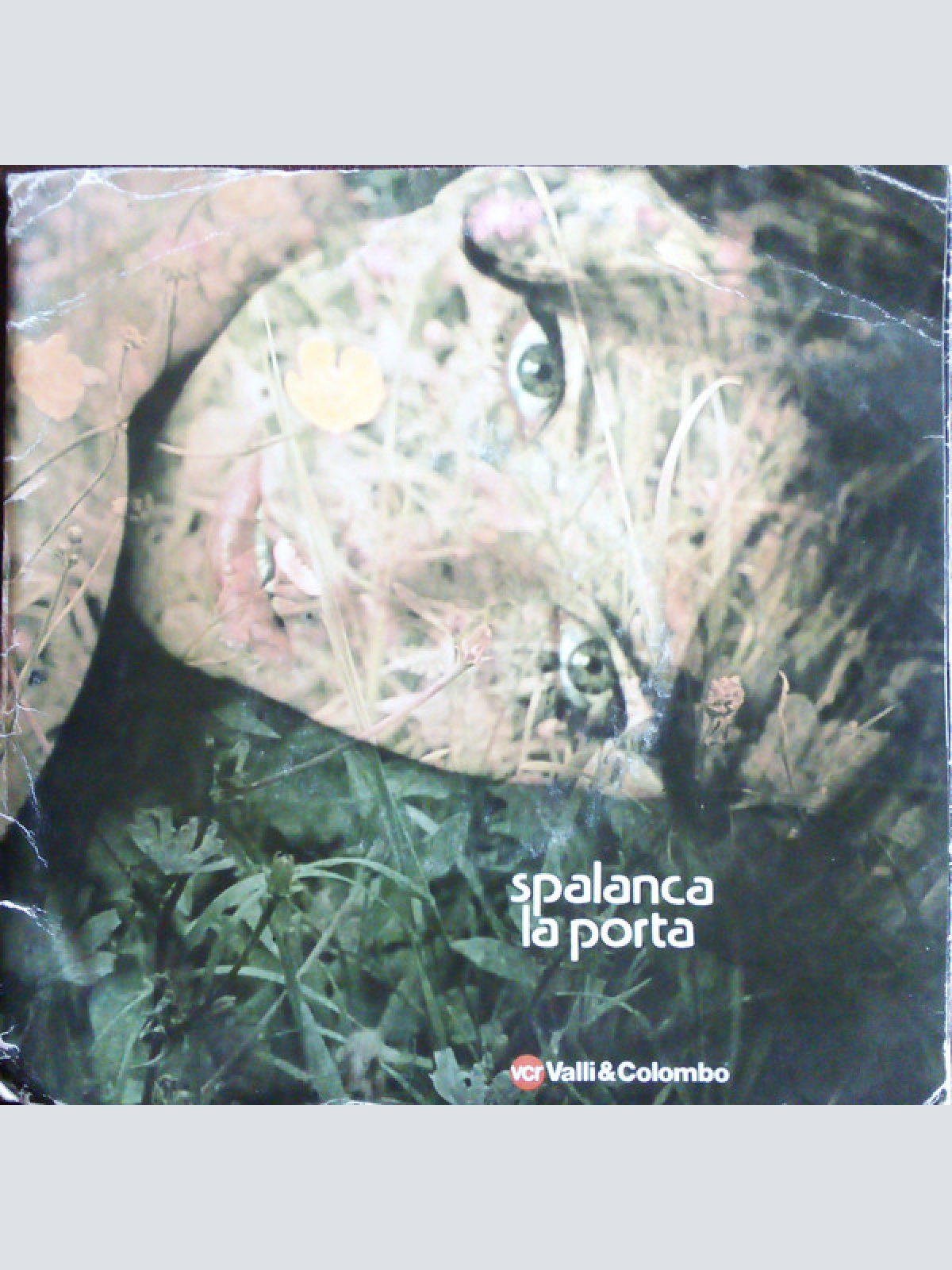 Vinyl / Le Piccole Ore - Spalanca La Porta