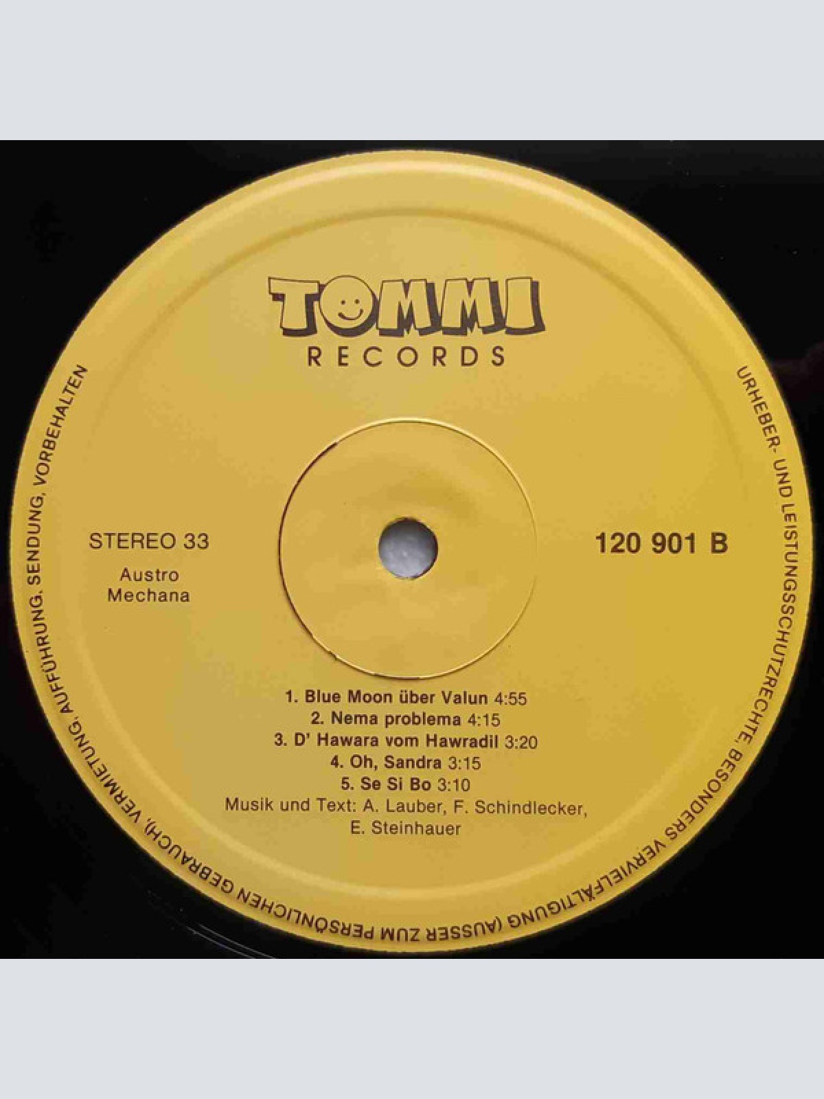 Vinyl / Wickerl Hawradil* - Singt Seine Schönsten Lieder