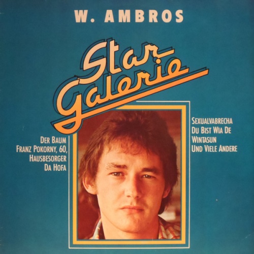 Vinyl / W. Ambros* - Star Galerie