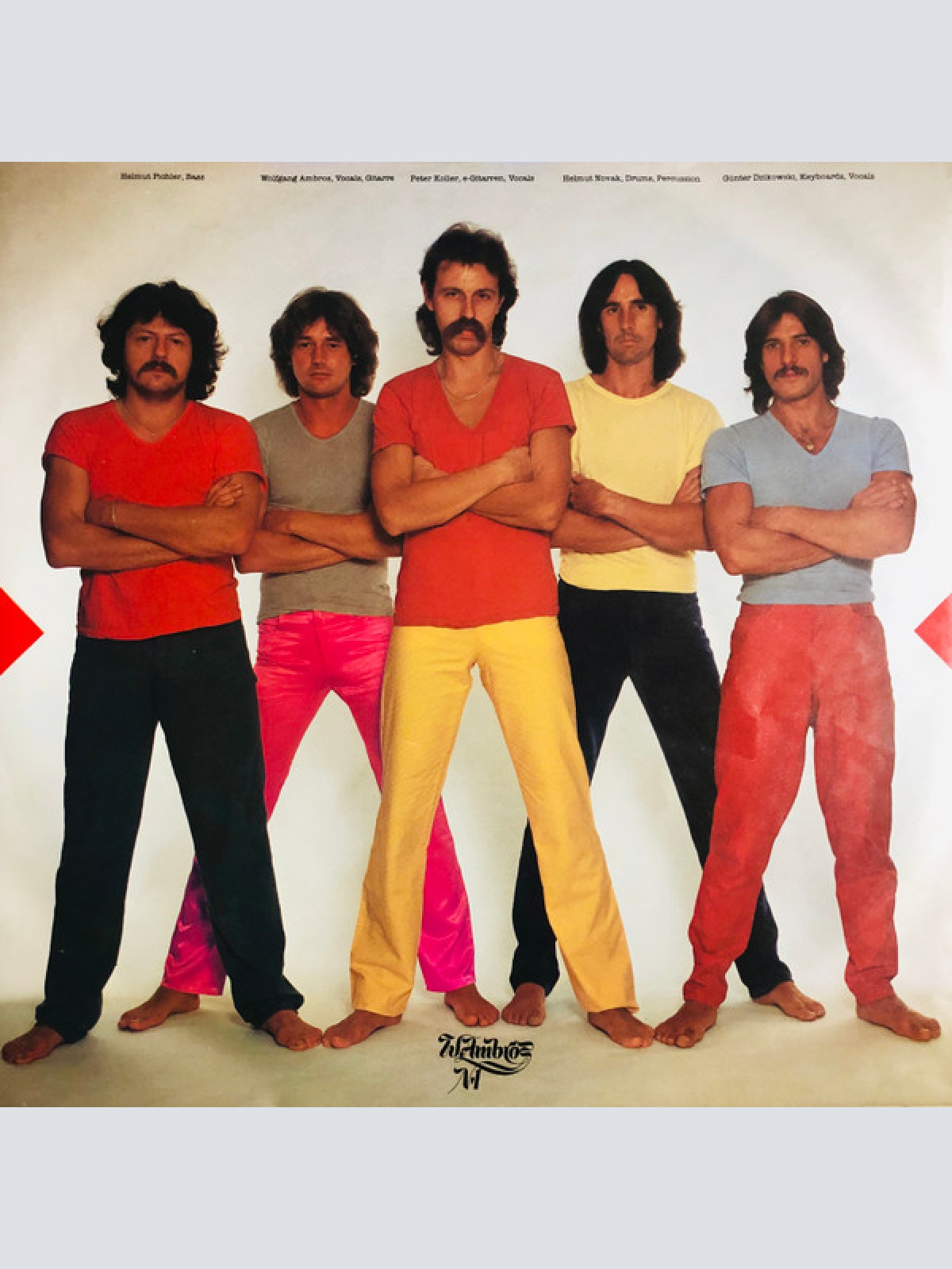 Vinyl / W. Ambros*, № 1* - Selbstbewusst