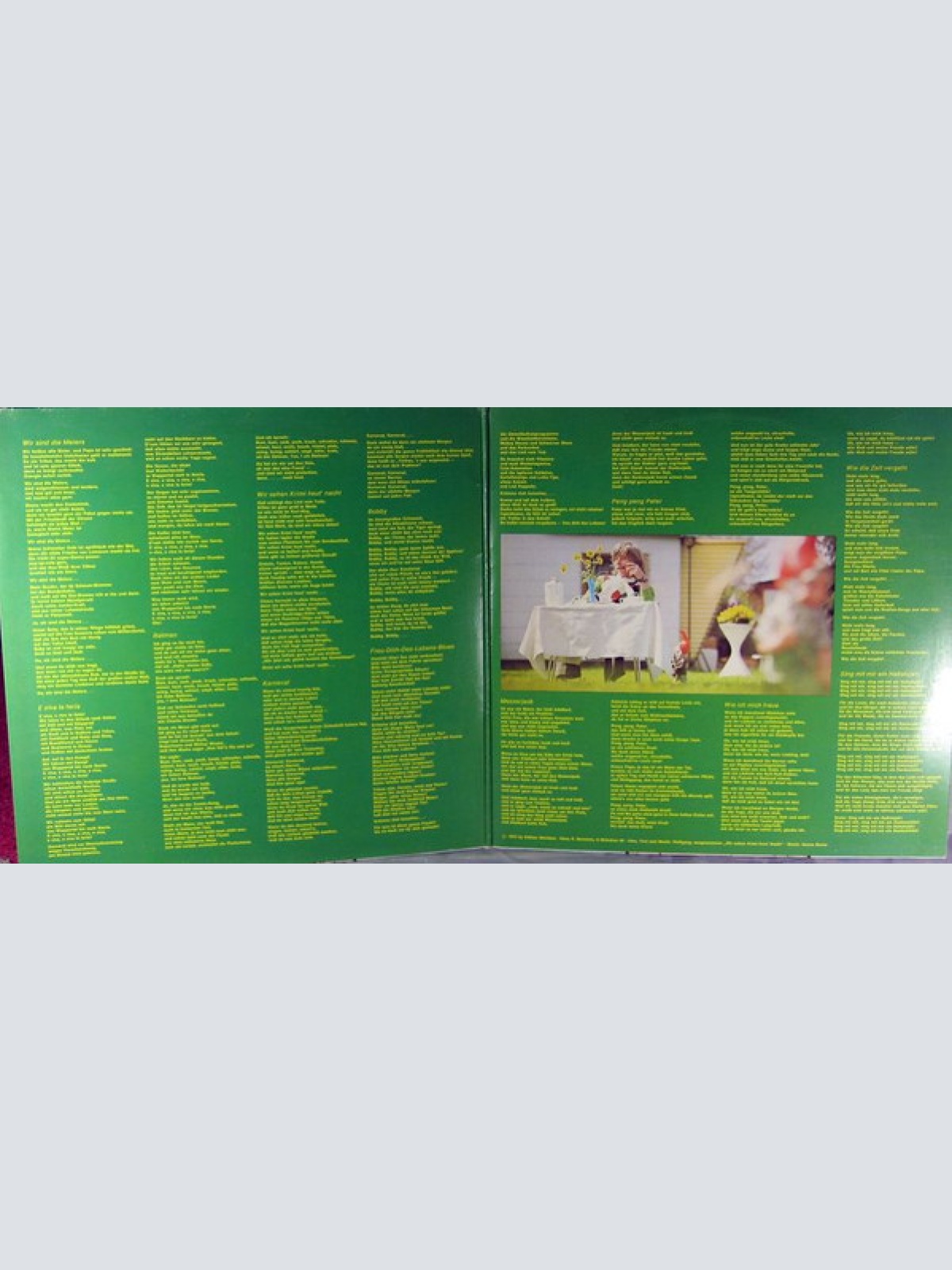 Vinyl / Wolfgang* - Wir Sind Die Meiers