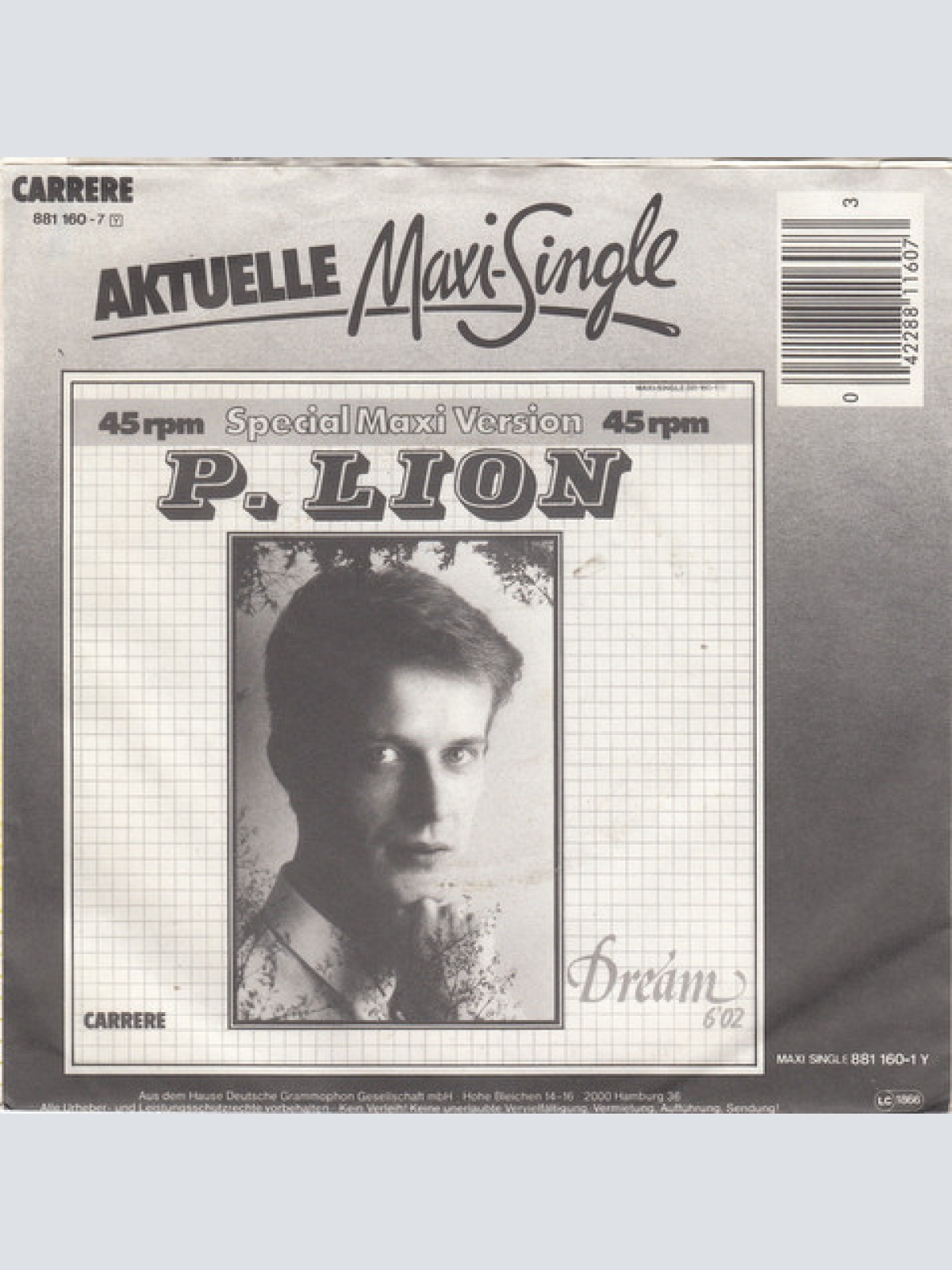 Vinyl / P. Lion - Dream