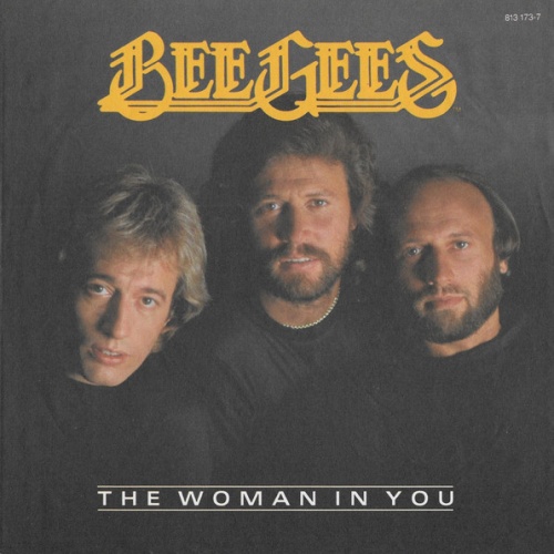 Vinyl / Bee Gees - The Woman In You