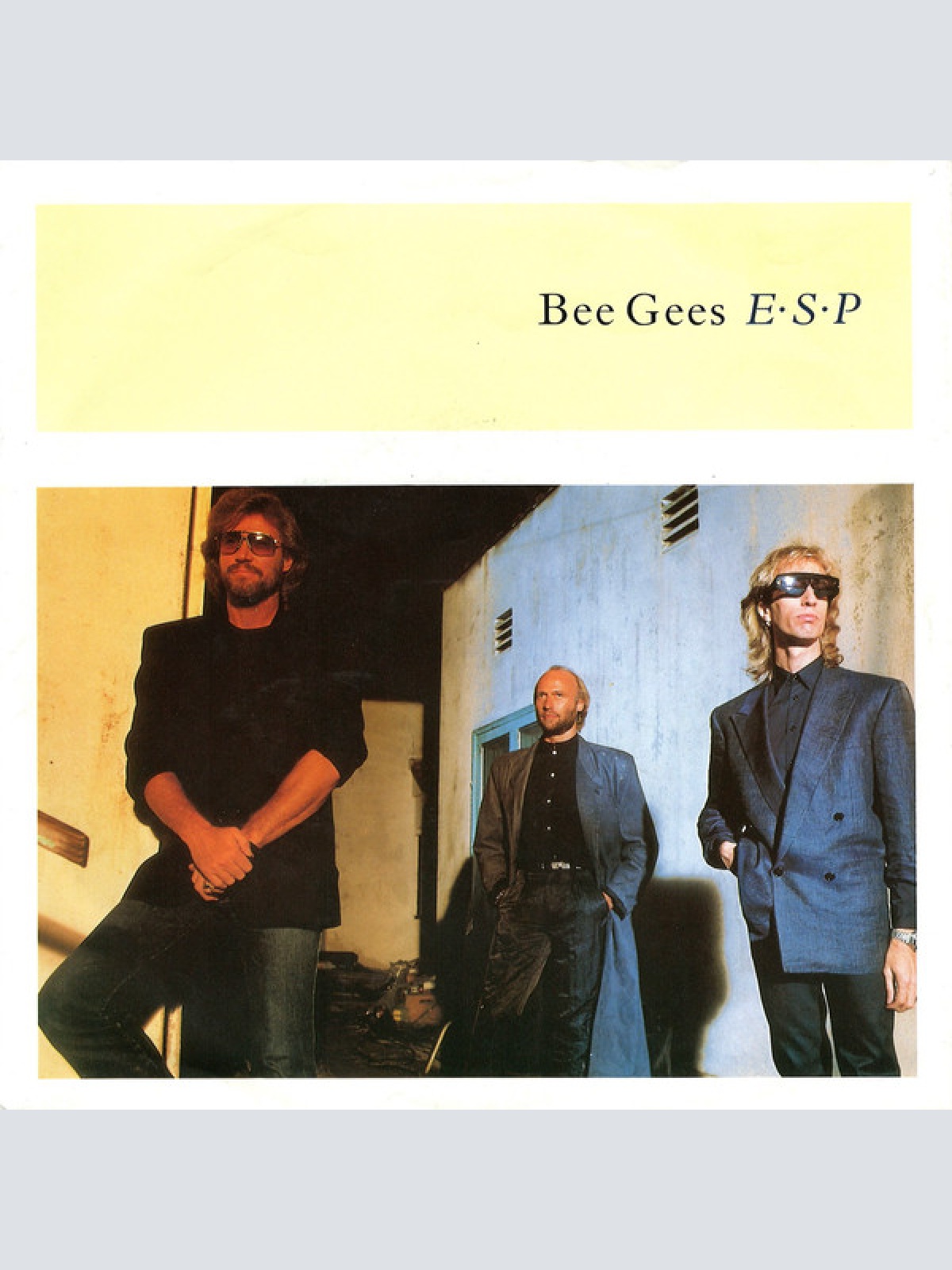Vinyl / Bee Gees - E·S·P