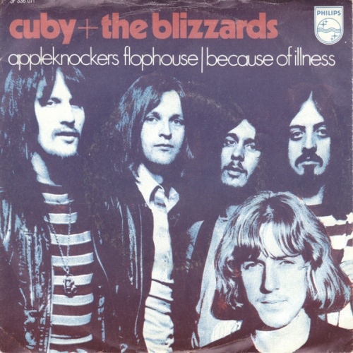 Vinyl / Cuby + The Blizzards* - Appleknockers Flophouse / Because Of Illness