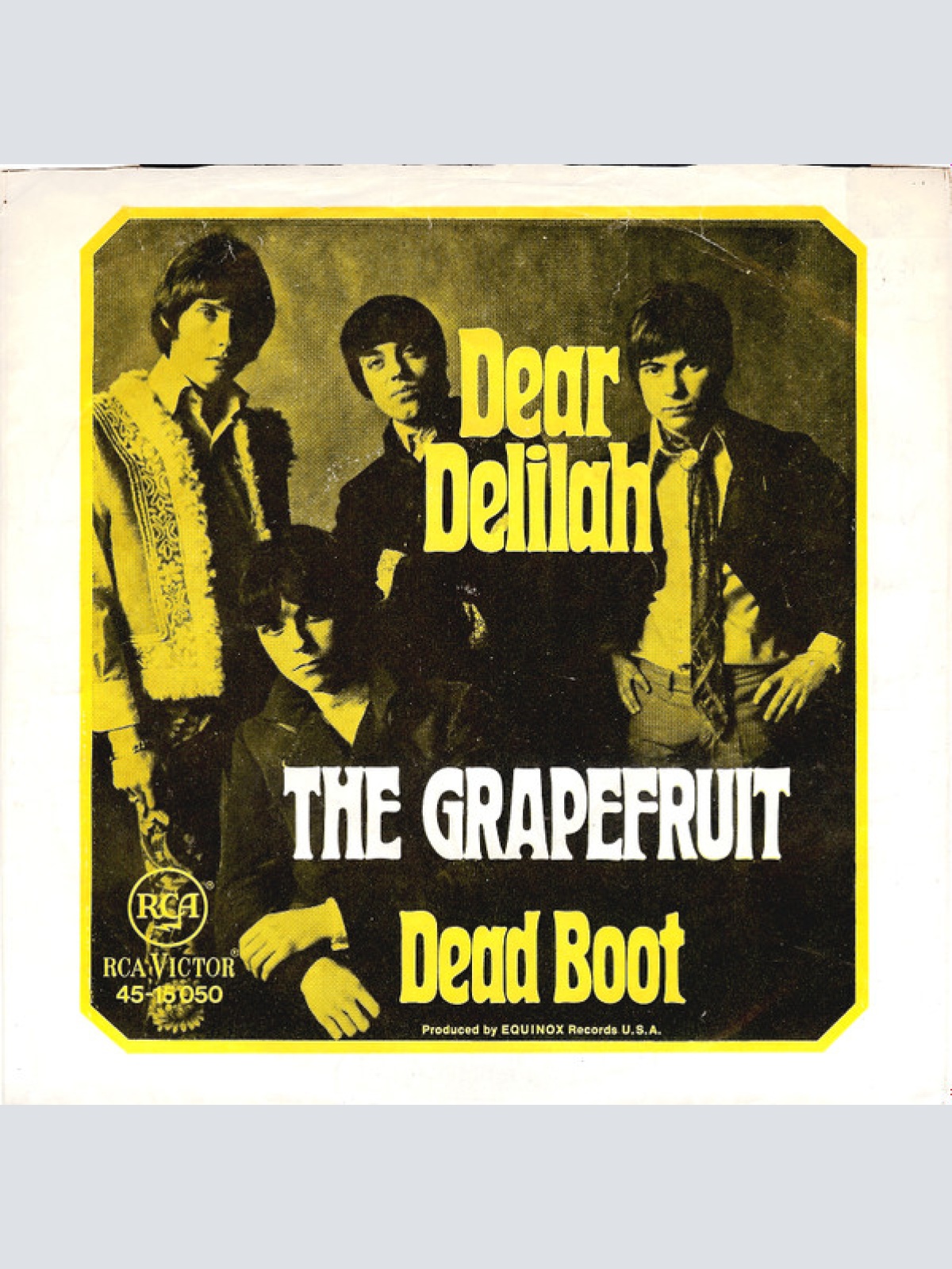 Vinyl / The Grapefruit* - Dear Delilah