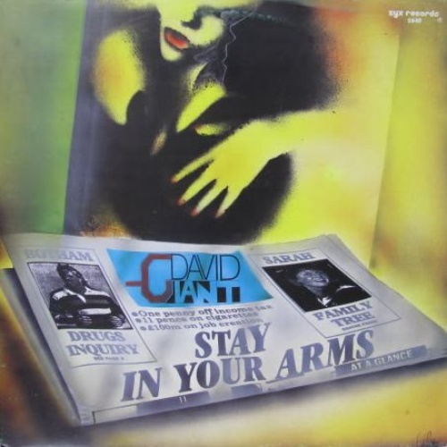 Vinyl / David Giant - Stay In Your Arms