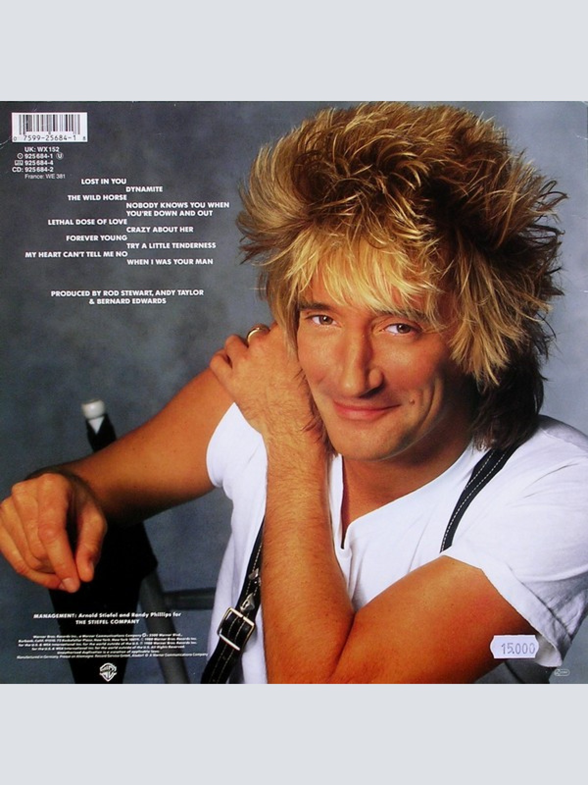 Vinyl / Rod Stewart - Out Of Order
