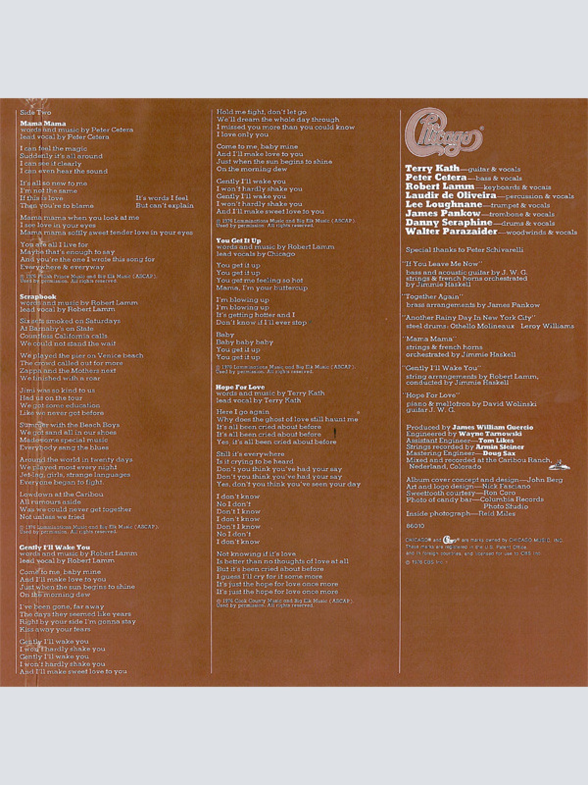 Vinyl / Chicago (2) - Chicago X