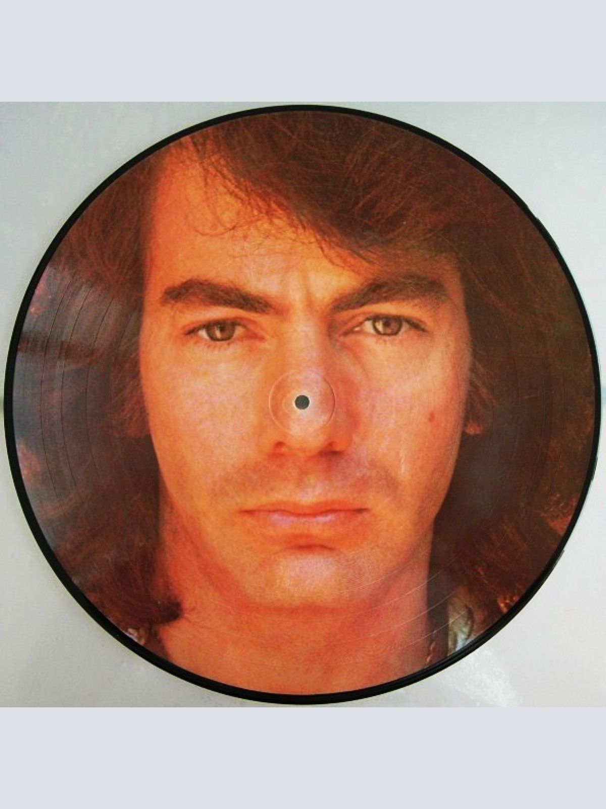 Vinyl / Neil Diamond - His 12 Greatest Hits