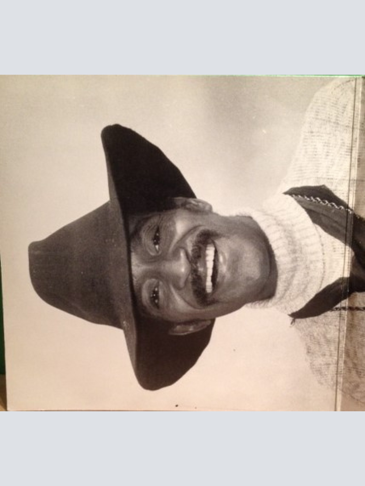 Vinyl / Sammy Davis Jr. - 28 Golden Melodies