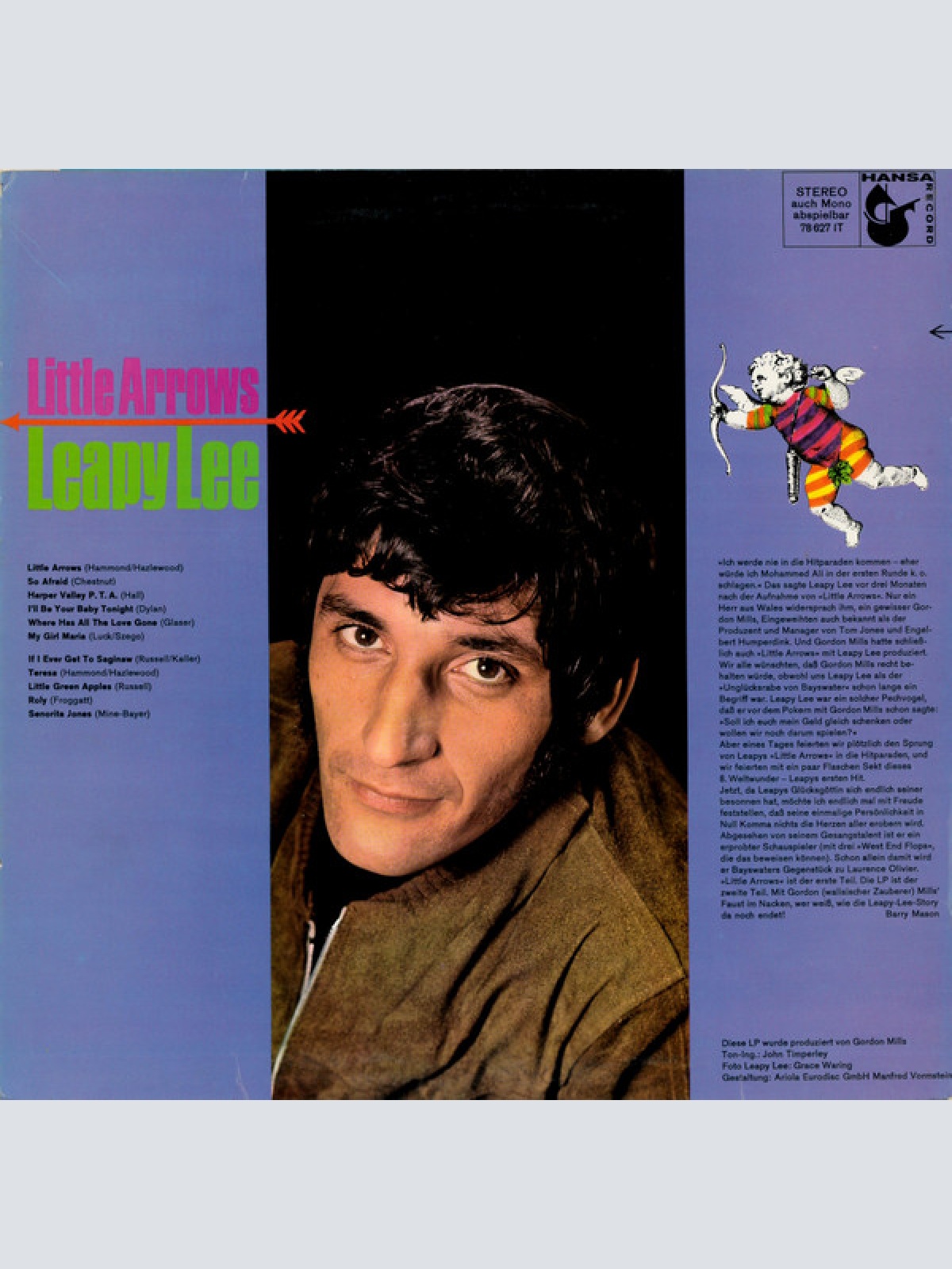 Vinyl / Leapy Lee - Little Arrows