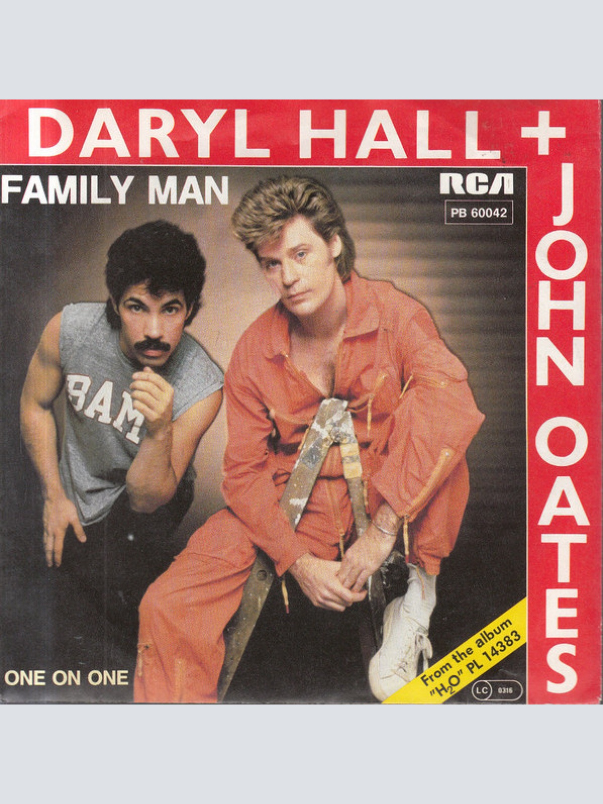 Vinyl / Daryl Hall + John Oates* - Family Man