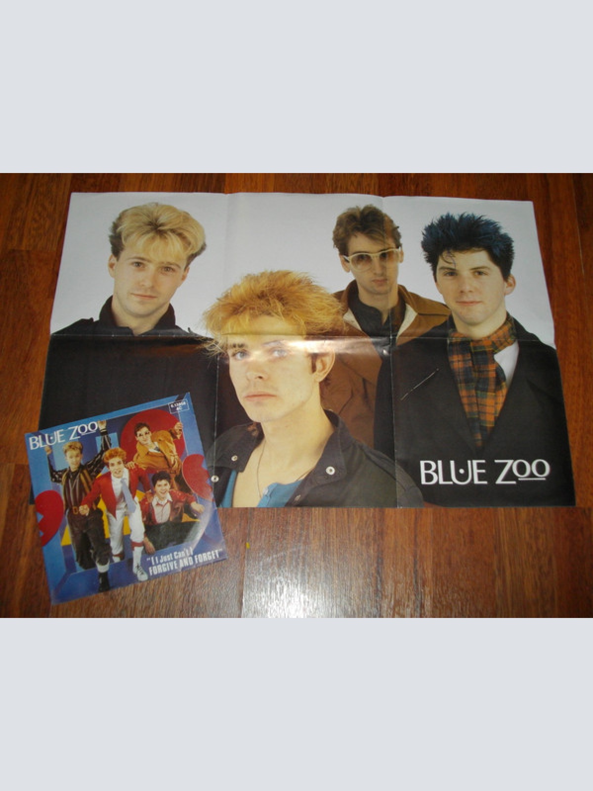 Vinyl / Blue Zoo - (I Just Can't) Forgive And Forget