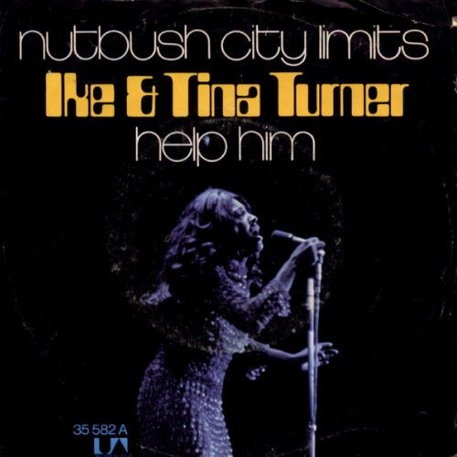 Vinyl / Ike & Tina Turner - Nutbush City Limits