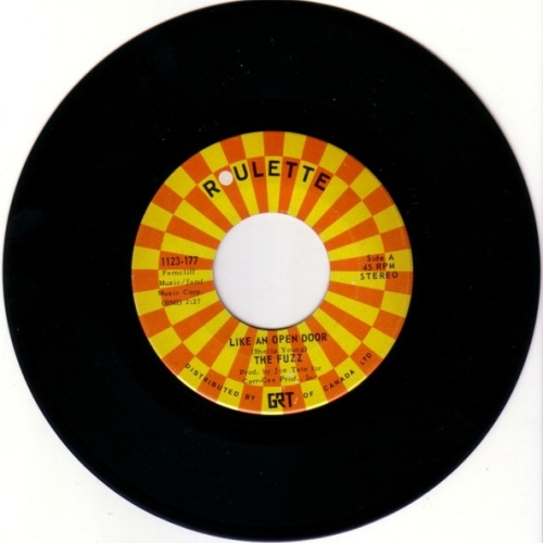 Vinyl / The Fuzz (4) - Like An Open Door / Leave It All Behind Me