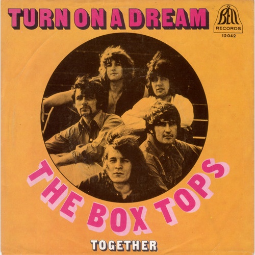 Vinyl / The Box Tops* - Turn On A Dream