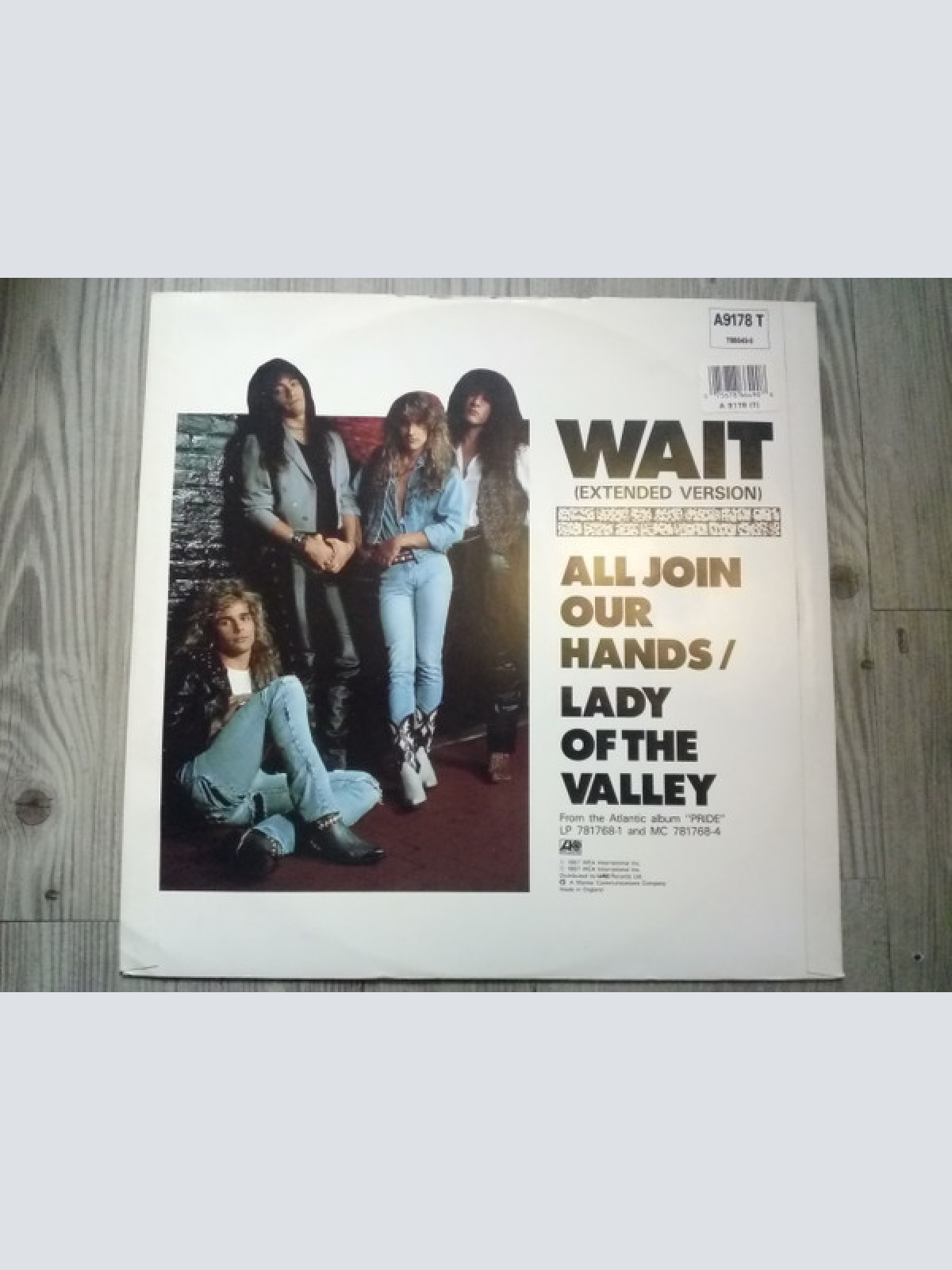 Vinyl / White Lion - Wait