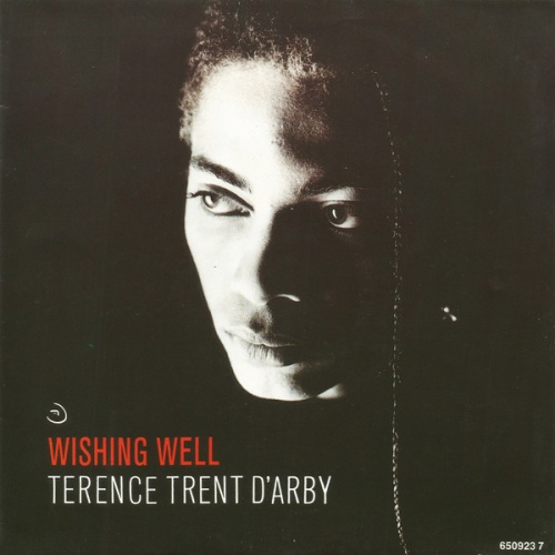 Vinyl / Terence Trent D'Arby - Wishing Well