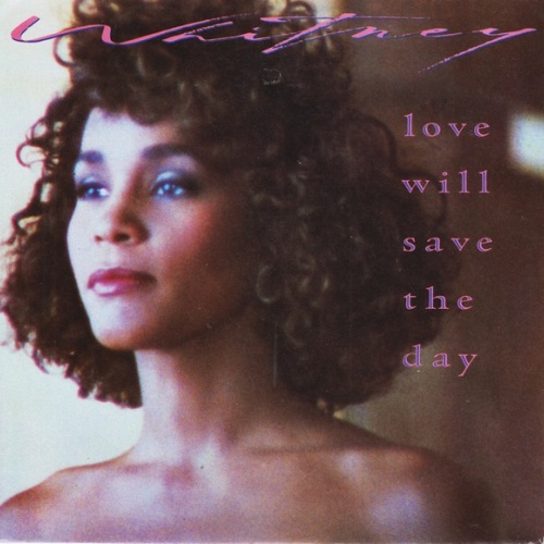 Vinyl / Whitney* - Love Will Save The Day