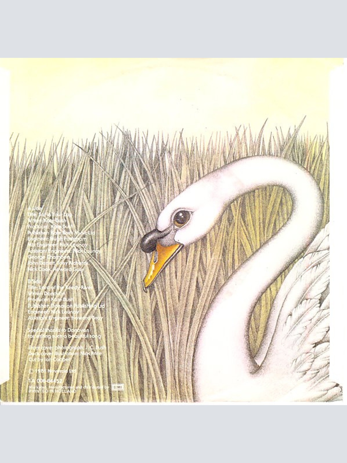 Vinyl / Kate Bush - Sat In Your Lap.