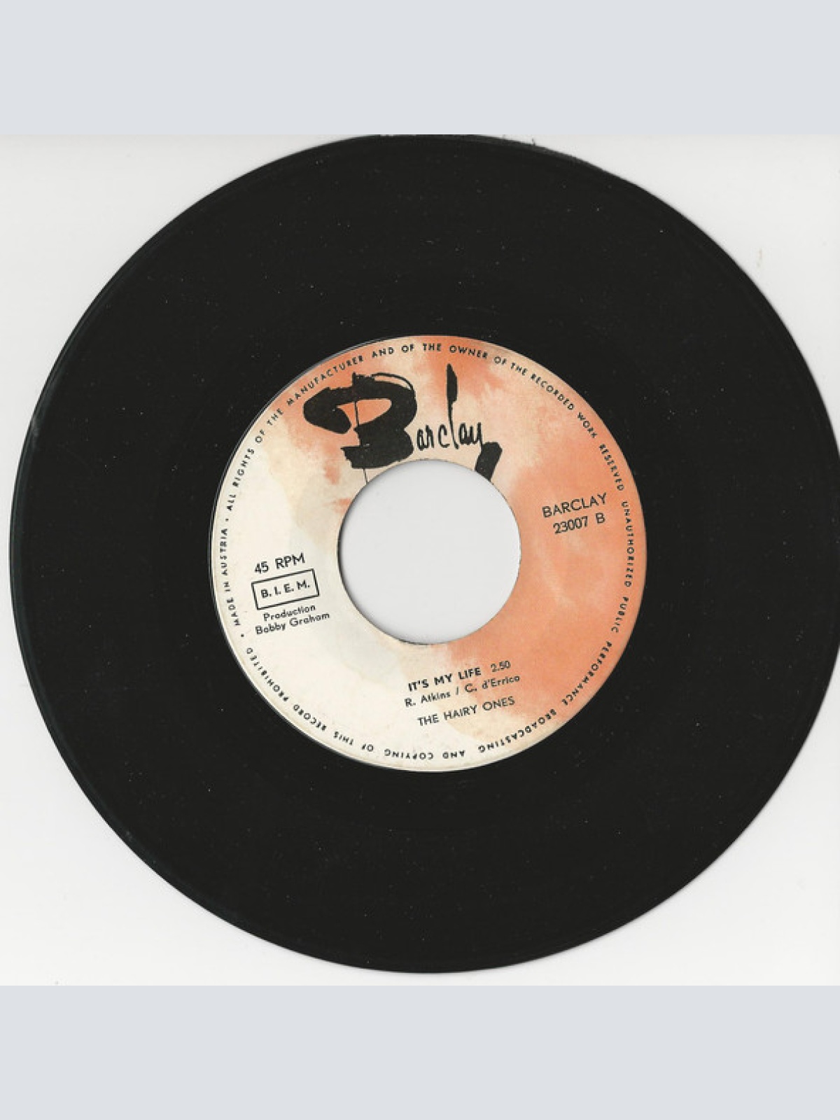 Vinyl / The Hairy Ones - Get Off Of My Cloud / It's My Life