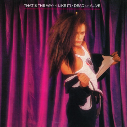 Vinyl / Dead Or Alive - That's The Way (I Like It)