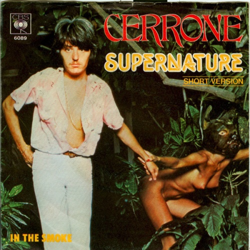 Vinyl / Cerrone - Supernature (Short Version)