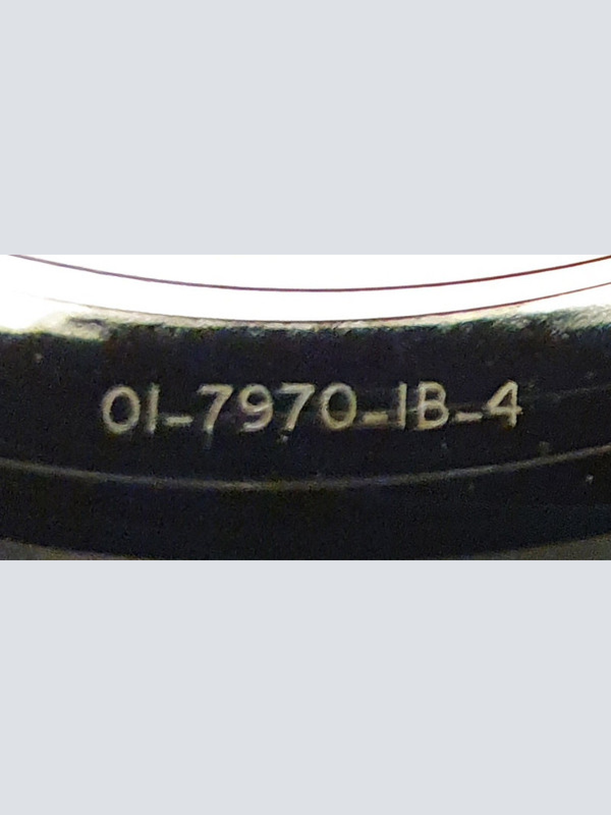 Vinyl / Bob Dylan - Man Gave Names To All The Animals