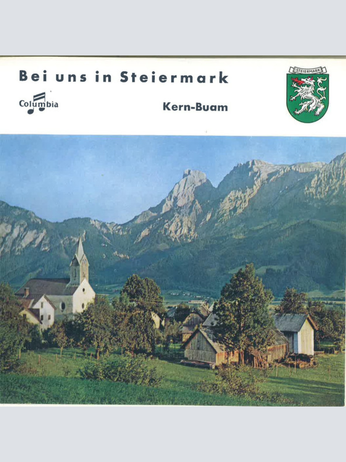 Vinyl / Kern-Buam* - Bei Uns In Steiermark