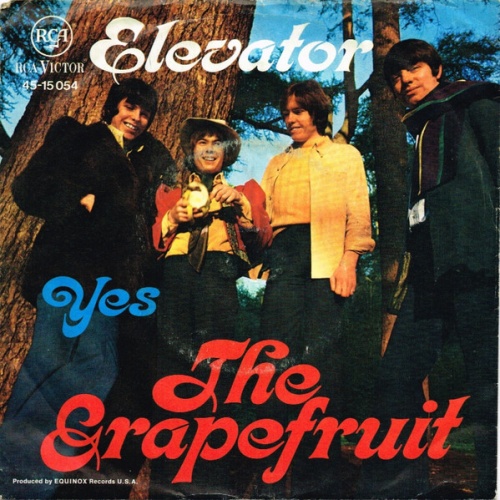 Vinyl / Grapefruit - Elevator / Yes