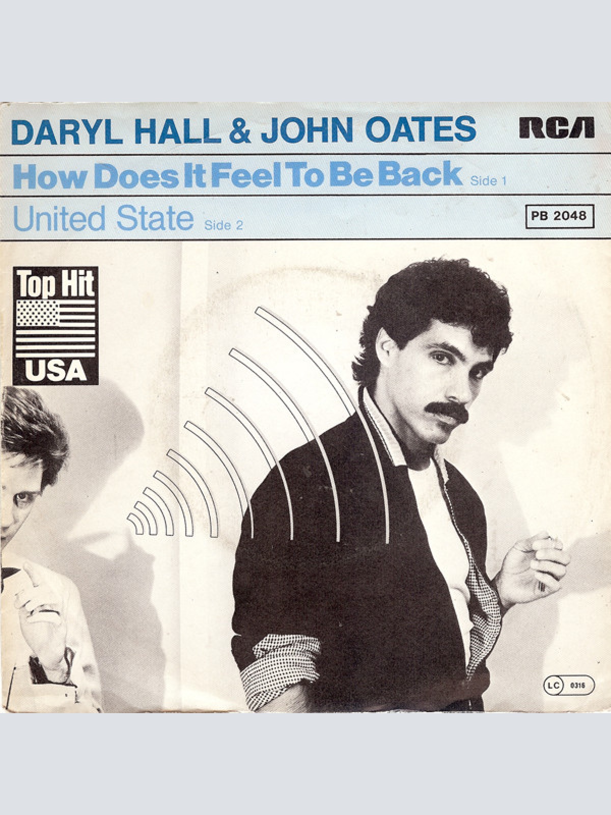 Vinyl / Daryl Hall & John Oates - How Does It Feel To Be Back