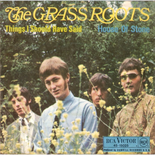 Vinyl / The Grass Roots - Things I Should Have Said
