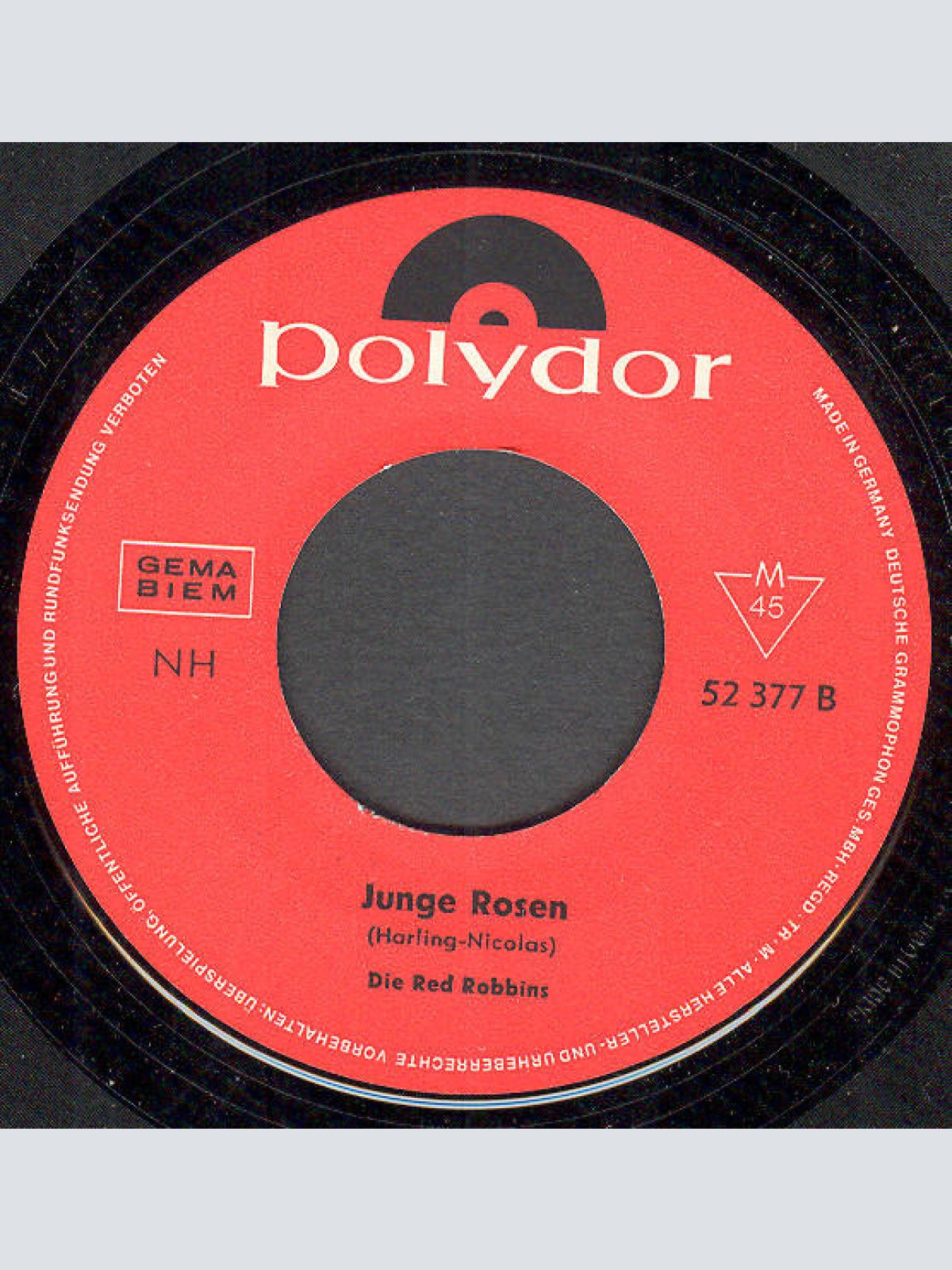 Vinyl / Die Red Robbins - Fremde Straße