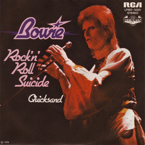 Vinyl / Bowie* - Rock'n' Roll Suicide
