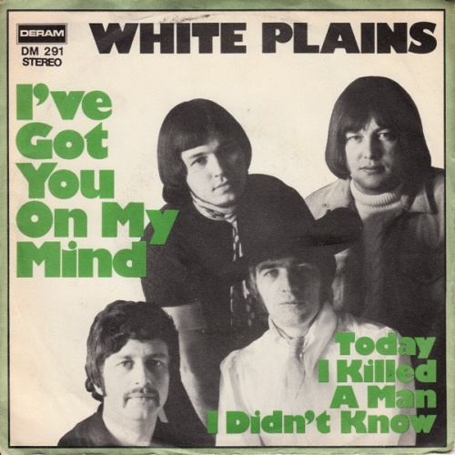 Vinyl / White Plains - I've Got You On My Mind