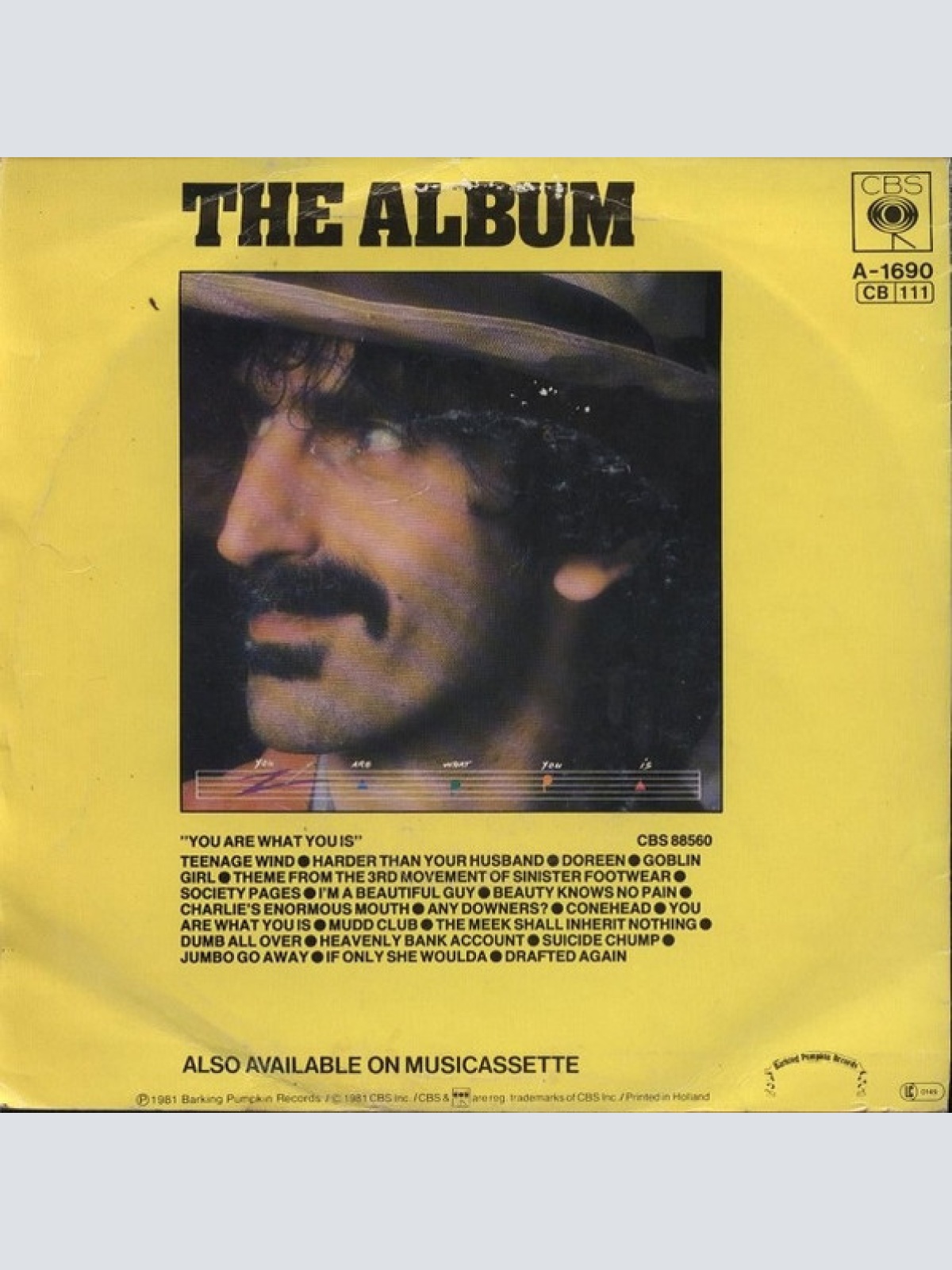 Vinyl / Frank Zappa - Harder Than Your Husband