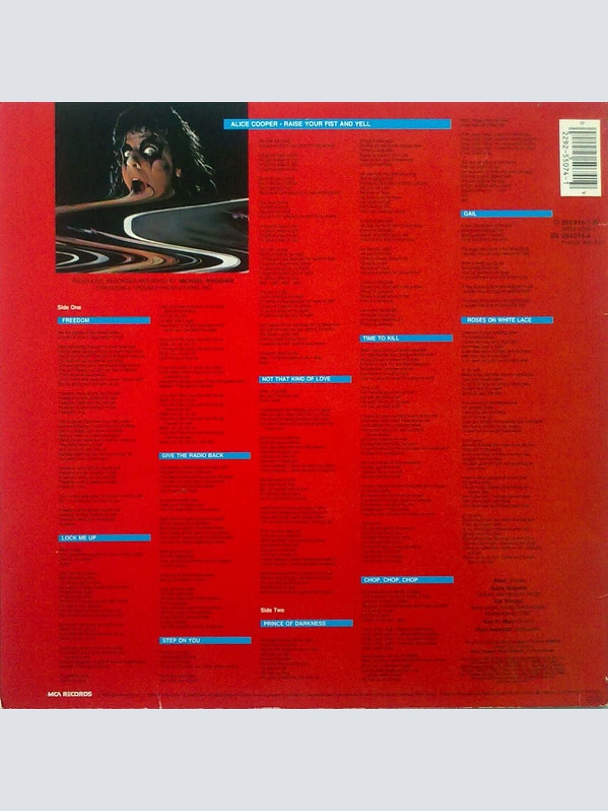 Vinyl / Alice Cooper (2) - Raise Your Fist And Yell