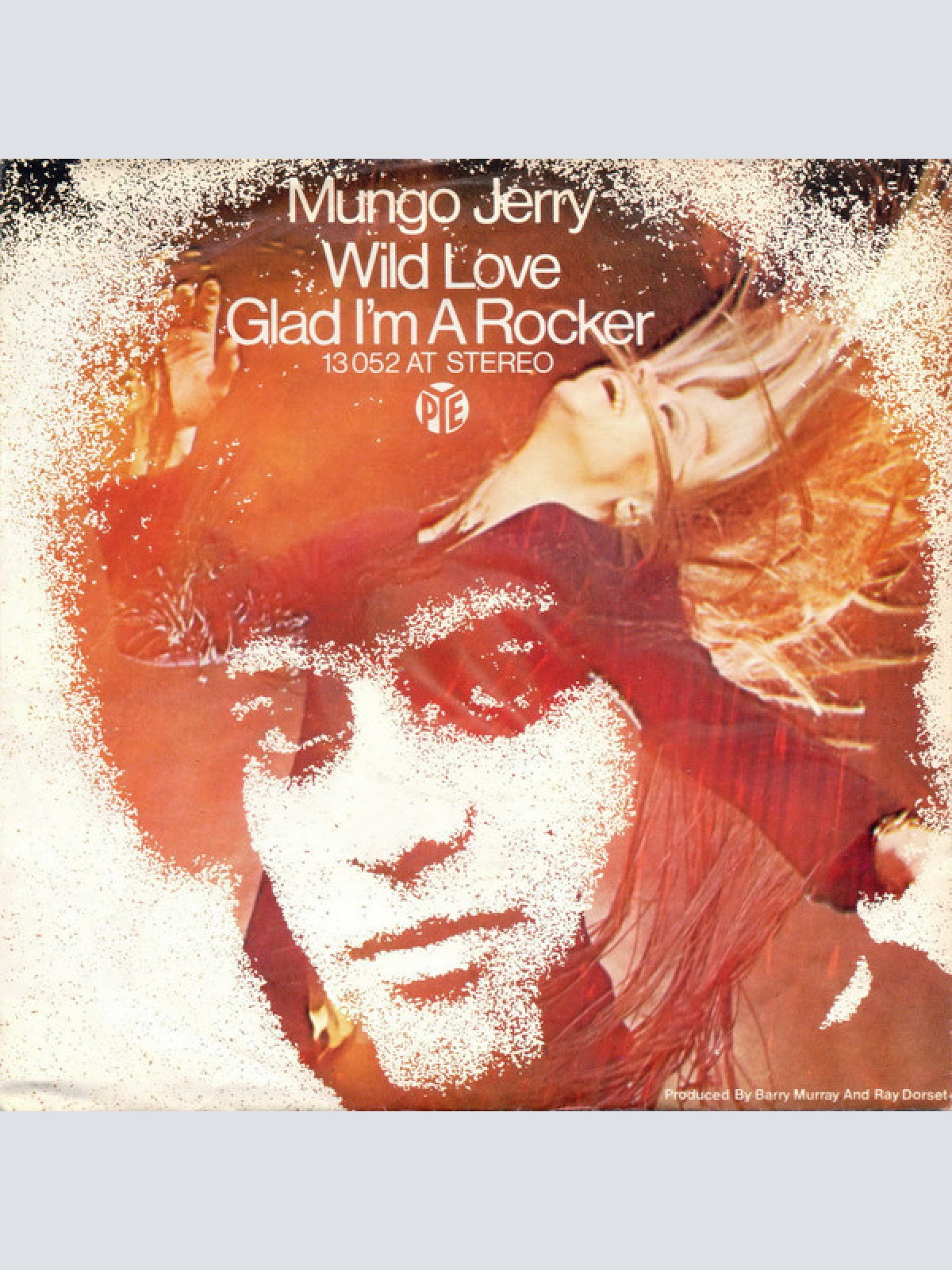 Vinyl / Mungo Jerry - Wild Love / Glad I'm A Rocker
